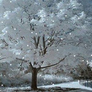 Meet your Posher, Christi